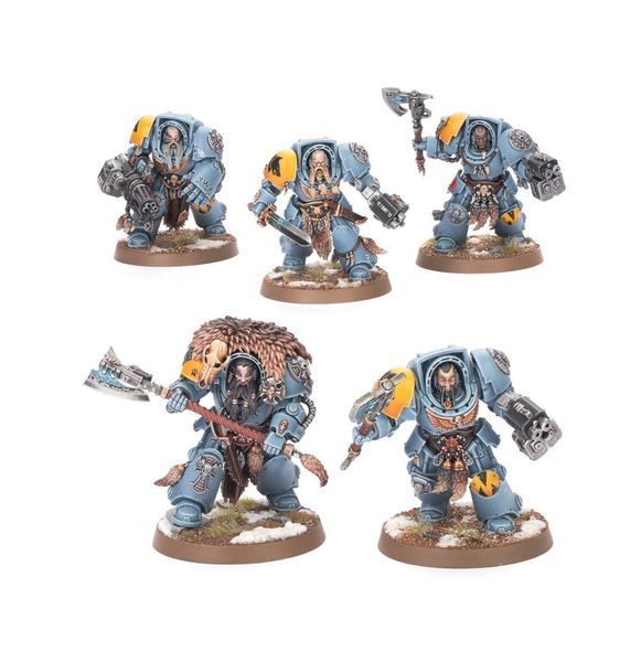 Warhammer 40000 Combat Patrol: Space Wolves 99120101426 фото